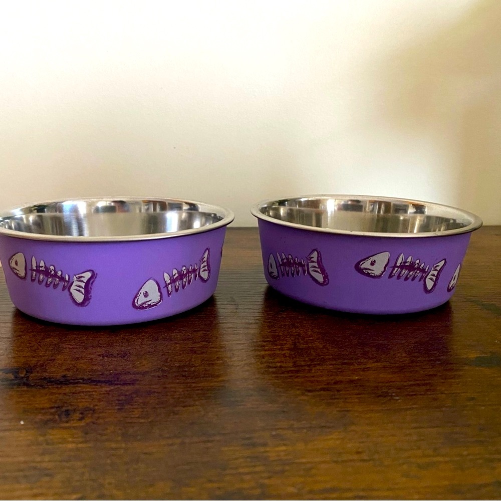 Cat food & water bowls (2)
